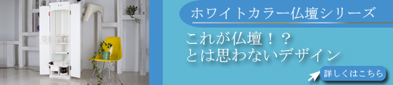 �z���C�g�J���[���d�V���[�Y