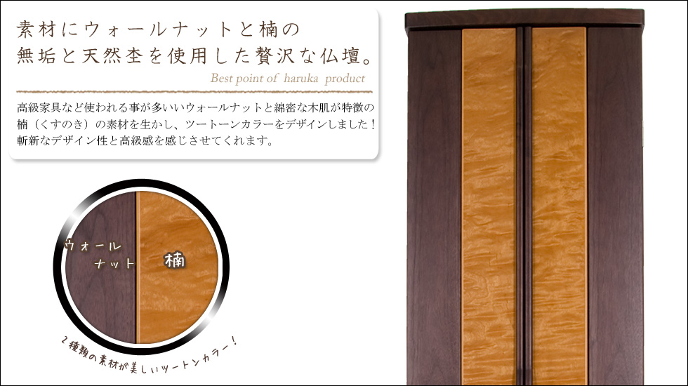 �w�y�i�͂邩�j�x�̂������߃|�C���g