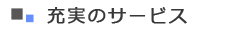 �T�[�r�X