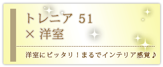 創価学会専用家具調仏壇 『トレニア 51』の設置事例