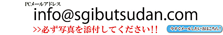 メールで応募